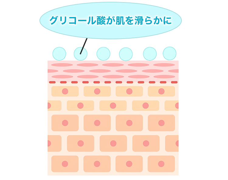 グリコール酸が肌を滑らかに整える様子