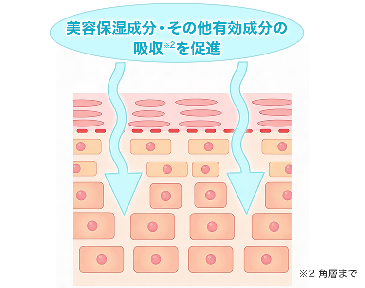 美容保湿成分・その他有効成分の角層への吸収を促進する様子